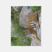 Tijger op een rots fleece deken (Voorkant)