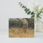 Tijger op het horloge | Wilhelm Kuhnert Briefkaart (Staand voorkant)