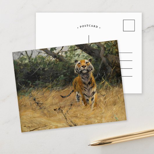 Tijger op het horloge | Wilhelm Kuhnert Briefkaart