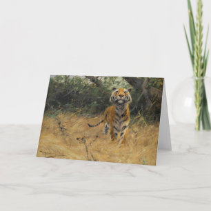 Tijger op het horloge   Wilhelm Kuhnert Kaart