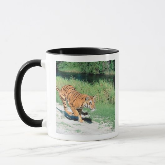 Tijger op pad mok (Links)