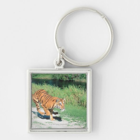 Tijger op pad sleutelhanger (Voorkant)