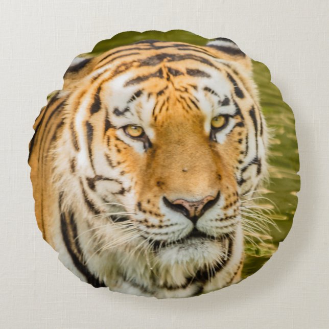 tijger op ronde kussen (Voorkant)