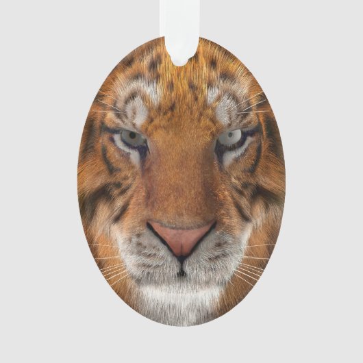 Tijger Ornament (voorkant)