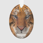 Tijger Ornament (achterkant)