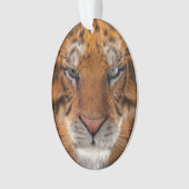 Tijger Ornament (voorkant)