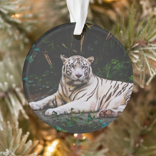 tijger ornament (Boom)