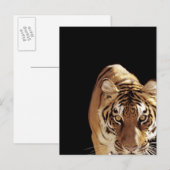 Tijger (Panthera tigris) Briefkaart (Voorkant / Achterkant)