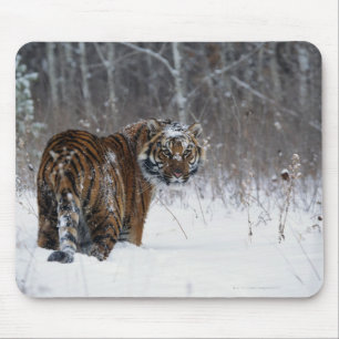 Tijger (Panthera tigris) die diep in de sneeuw sta Muismat