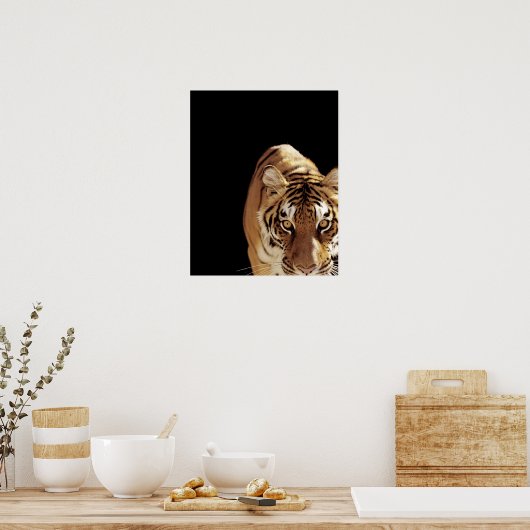 Tijger (Panthera tigris) Poster (Keuken)