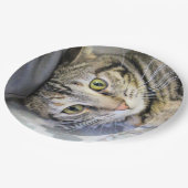 tijger papieren bordje (Gekanteld)