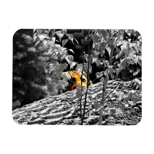 Tijger Peek-a-boo Flexible Magnet Magneet (Horizontaal)