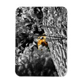 Tijger Peek-a-boo Flexible Magnet Magneet (Verticaal)