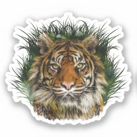 Tijger peering door gras sticker (Voorkant)