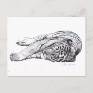 Tijger - Pen en inkt Briefkaart