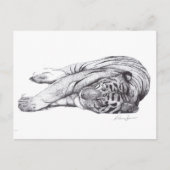 Tijger - Pen en inkt Briefkaart (Voorkant)