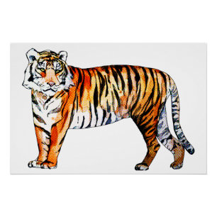 tijger perfect poster