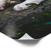 tijger perfect poster (Hoek)