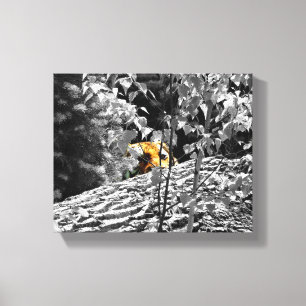 Tijger Piep-door Canvas 10x8 Afdruk