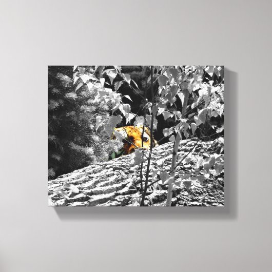 Tijger Piep-door Canvas 10x8 Afdruk (Voorkant)