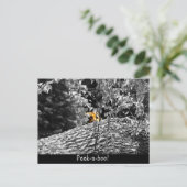 Tijger Piep-uit Ansichtkaart Briefkaart (Staand voorkant)