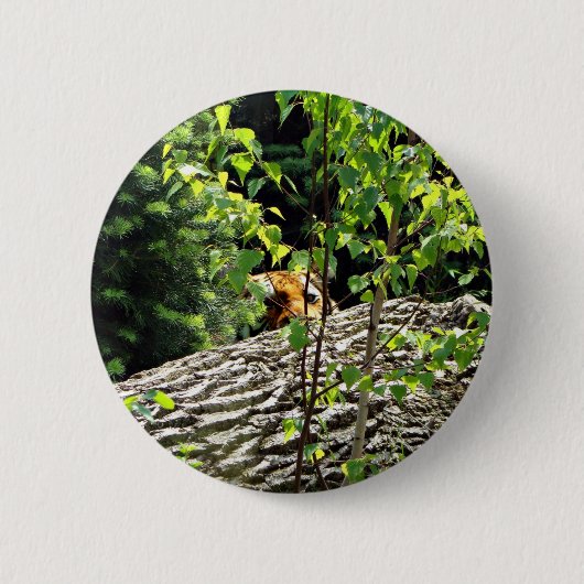 Tijger Piep-uit Knop Ronde Button 5,7 Cm (Voorkant)