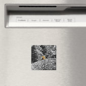 Tijger Piep-uit-magneet Magneet (Insitu (Vaatwasser))