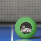 tijger pingpongbal (Net)