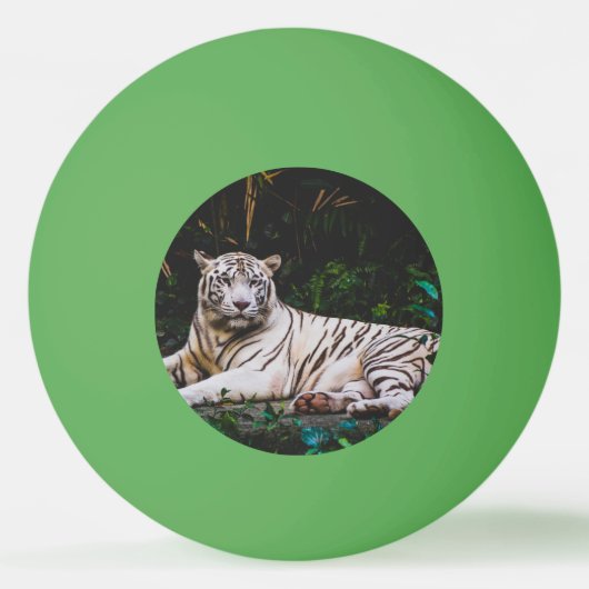 tijger pingpongbal (Voorkant)