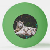 tijger pingpongbal (Achterkant)