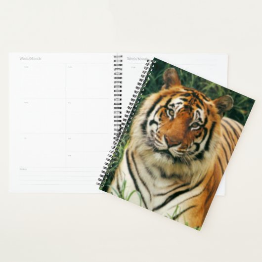 tijger planner (Display)