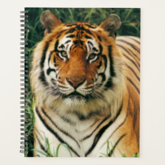 tijger planner (Voorkant)