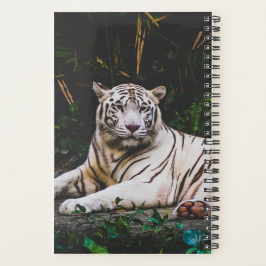 tijger planner (Achterkant)