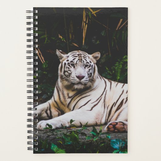 tijger planner (Voorkant)