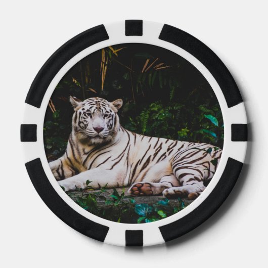 tijger poker chips (Voorkant)