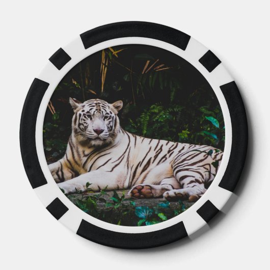 tijger poker chips (Achterkant)