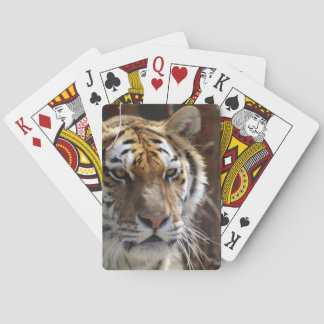 tijger pokerkaarten