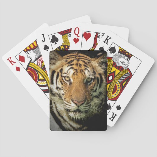 tijger pokerkaarten (Achterkant)