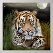 tijger poster (Voorkant)