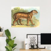 tijger poster (Thuiskantoor)