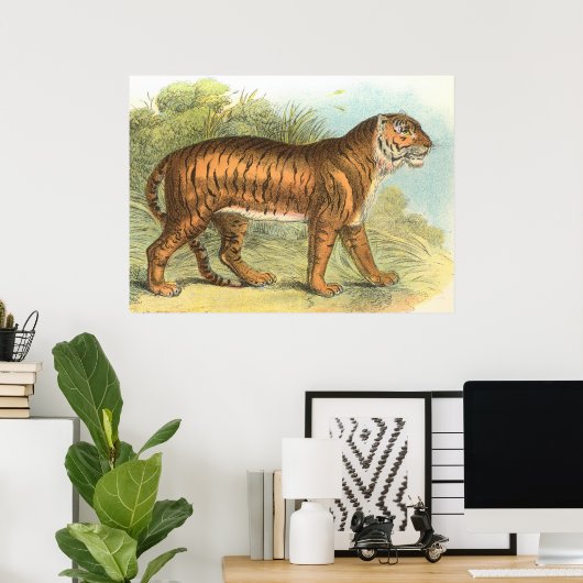 tijger poster (Thuiskantoor)