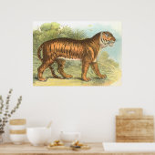 tijger poster (Keuken)