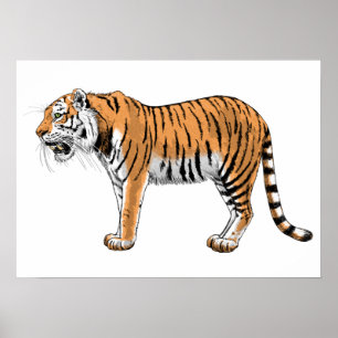 tijger poster