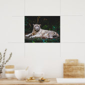 tijger poster (Keuken)