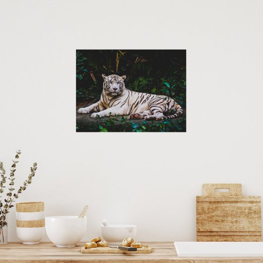 tijger poster (Keuken)