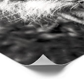 tijger poster (Hoek)