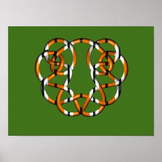 tijger poster (Voorkant)