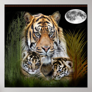 tijger poster