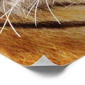 tijger poster (Hoek)