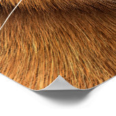 tijger poster (Hoek)